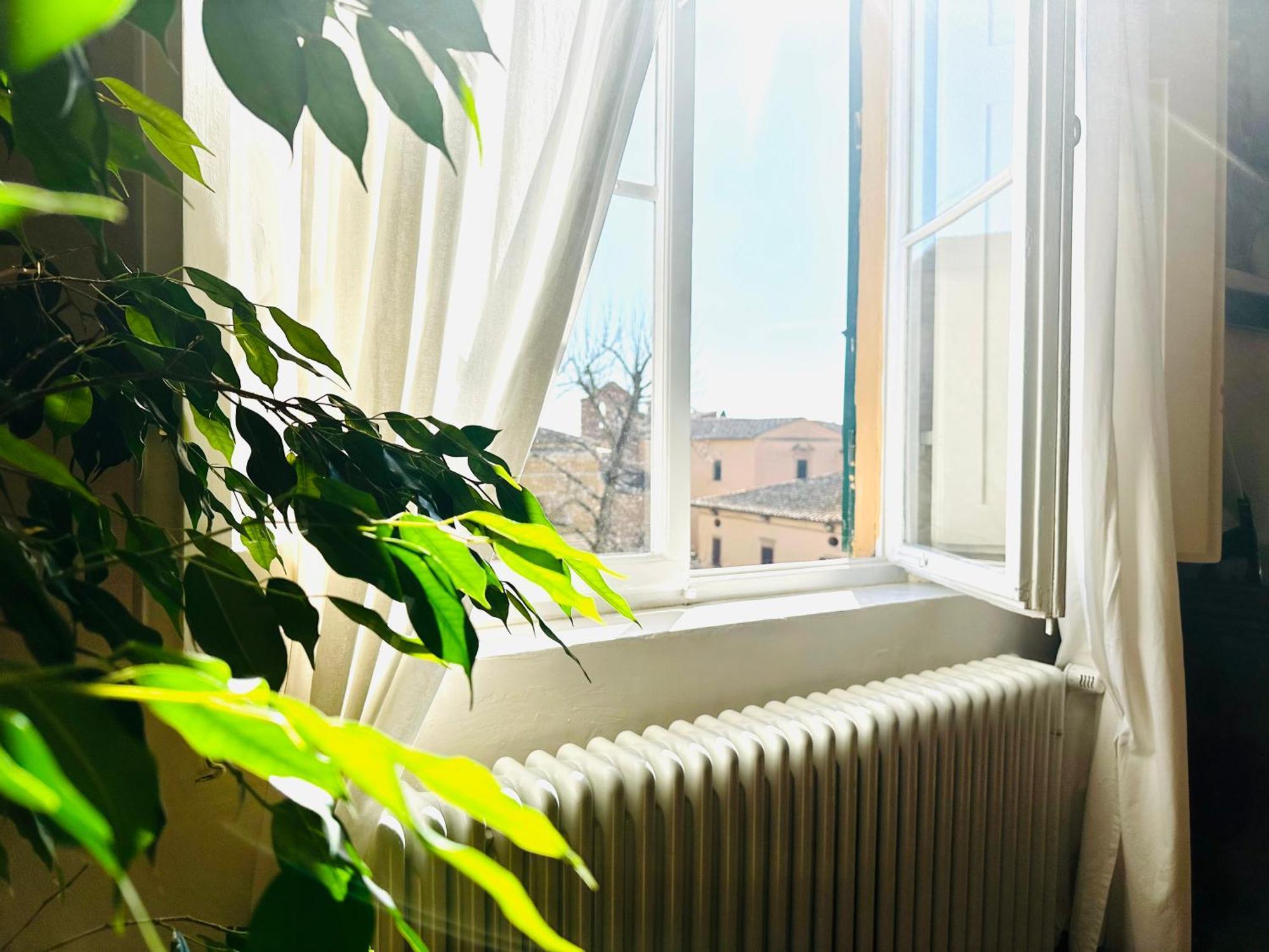Domus An - Sant'agata-historical Home-very Apartamento