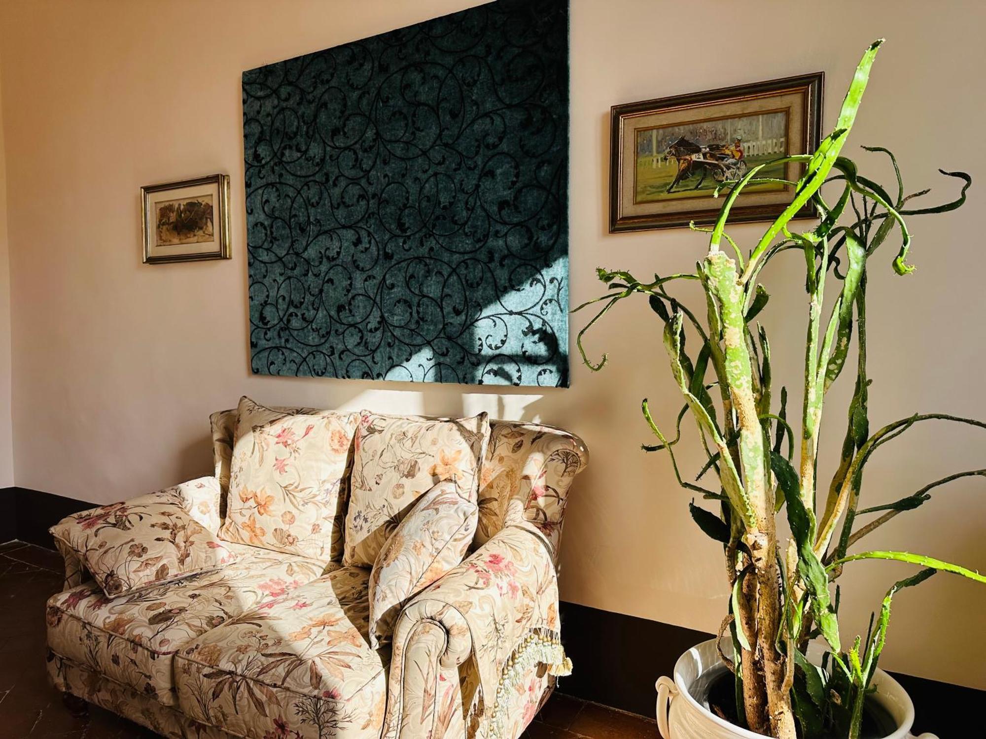 Apartamento Domus An - Sant'agata-historical Home-very Siena